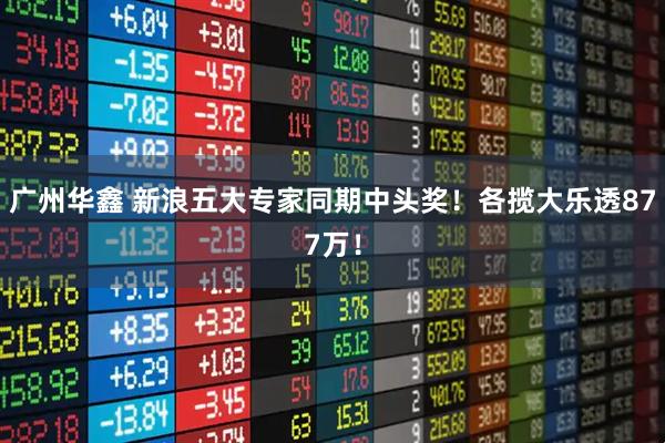 广州华鑫 新浪五大专家同期中头奖！各揽大乐透877万！